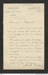 Nachlass Franz Steindachner, Brief von Raffaelo Gestro an Franz Steindachner (10.08.1899), Inv.Nr. 158.01, Seite 1